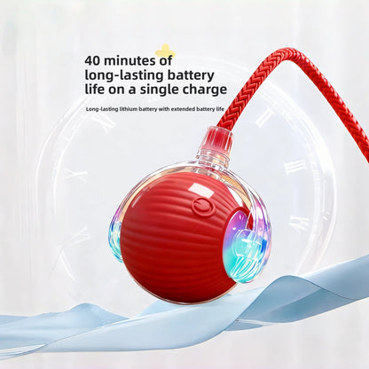 Smart Rolling Cat Ball with Light