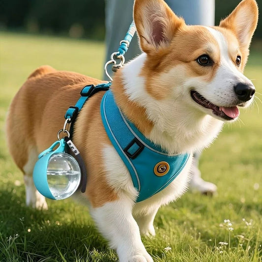 Portable Dog Travel Water Bottle